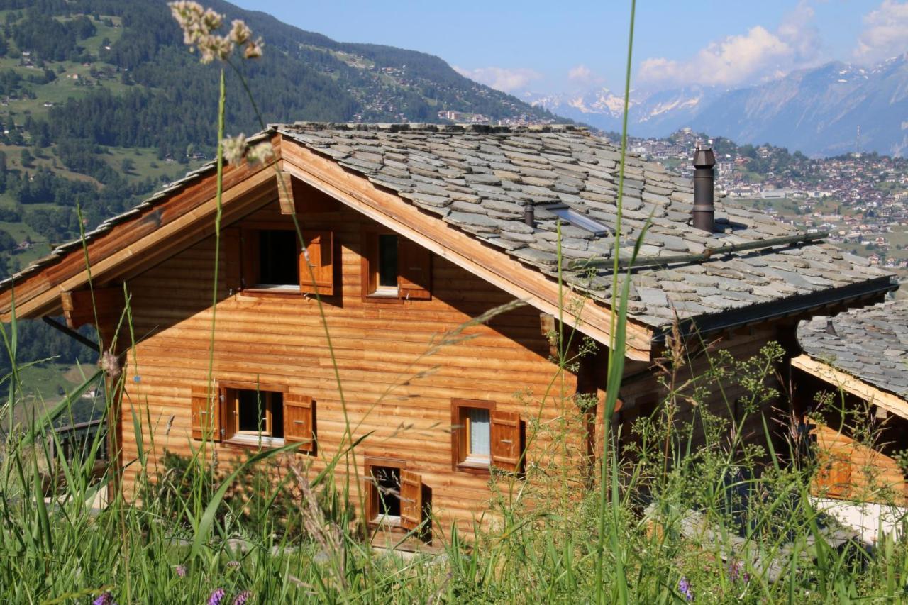 Christoph Standing & Calm Chalet 10 Pers By Alpvision Residences Вейзоназ Екстериор снимка